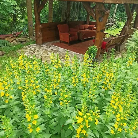 Gorna Vibes Юговице