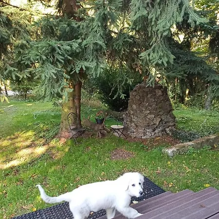 아파트 Gorna Vibes