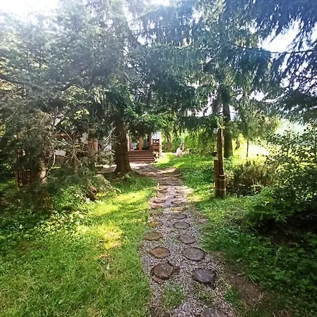 아파트 Gorna Vibes 예고비체