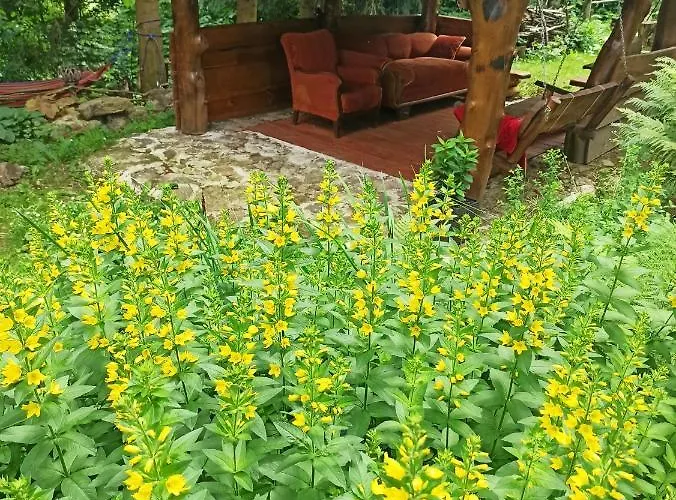 Gorna Vibes Jugowice