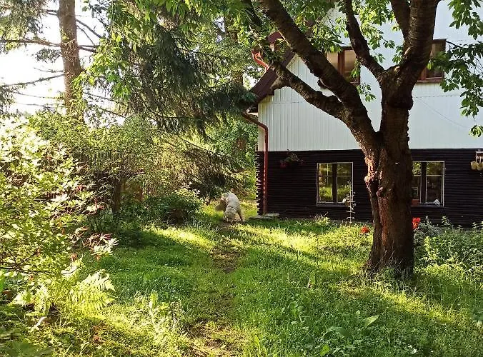 Apartmán Gorna Vibes